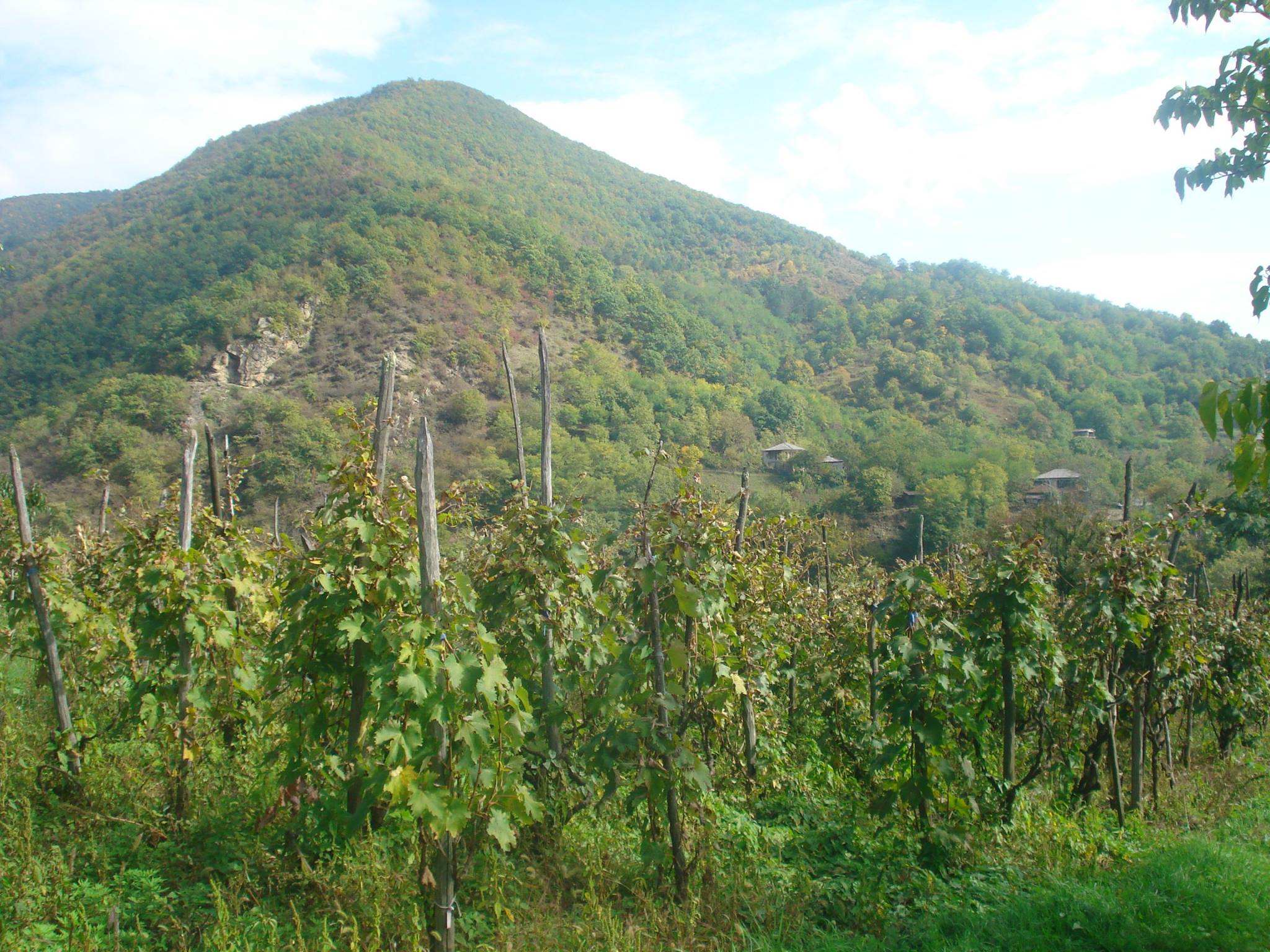 KARIBCHE